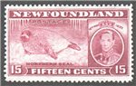 Newfoundland Scott 239 Mint VF (P13.7)